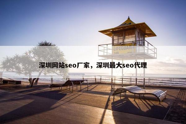 深圳网站seo厂家，深圳最大seo代理