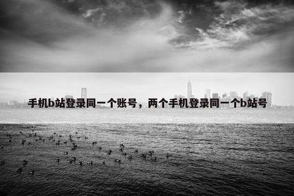 手机b站登录同一个账号，两个手机登录同一个b站号