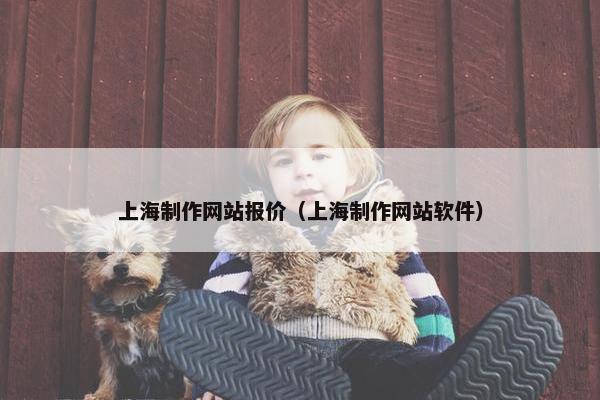 上海制作网站报价（上海制作网站软件）
