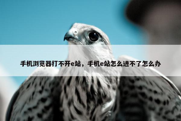 手机浏览器打不开e站，手机e站怎么进不了怎么办