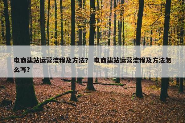 电商建站运营流程及方法？ 电商建站运营流程及方法怎么写？