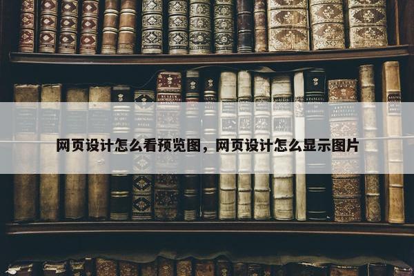网页设计怎么看预览图，网页设计怎么显示图片