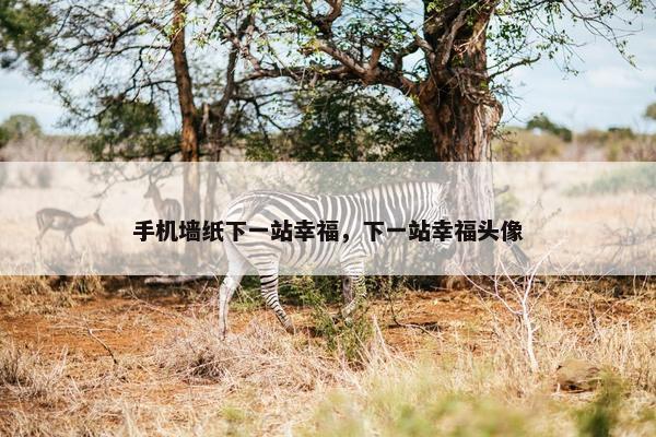 手机墙纸下一站幸福，下一站幸福头像