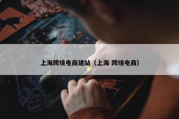 上海跨境电商建站（上海 跨境电商）