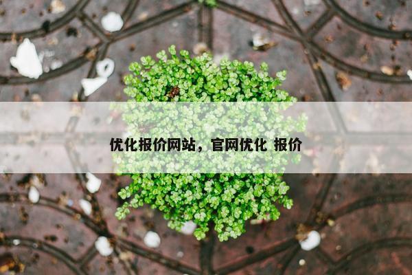 优化报价网站，官网优化 报价