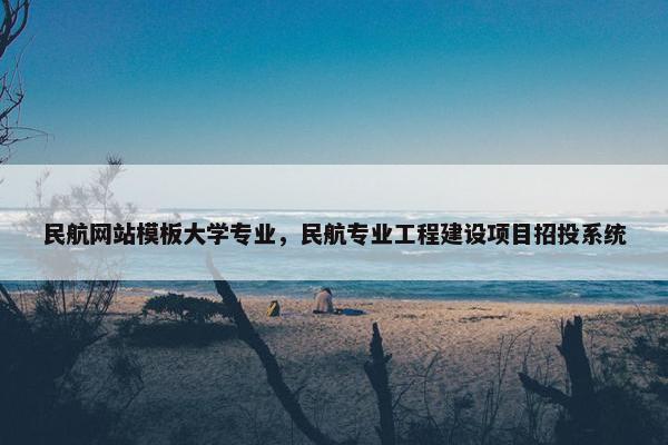民航网站模板大学专业，民航专业工程建设项目招投系统