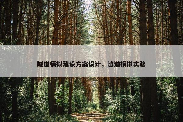隧道模拟建设方案设计，隧道模拟实验