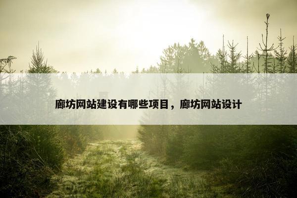 廊坊网站建设有哪些项目，廊坊网站设计