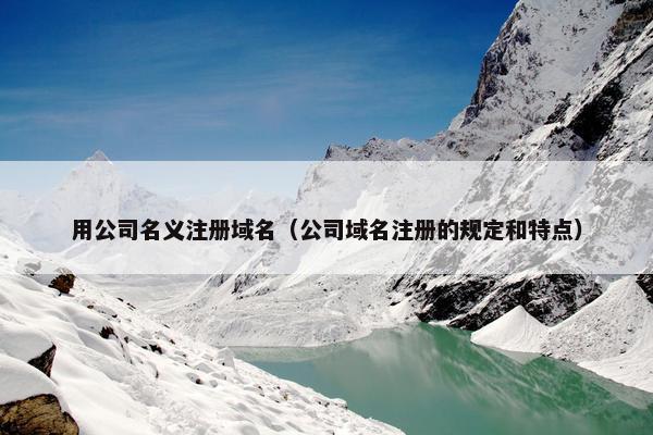 用公司名义注册域名（公司域名注册的规定和特点）