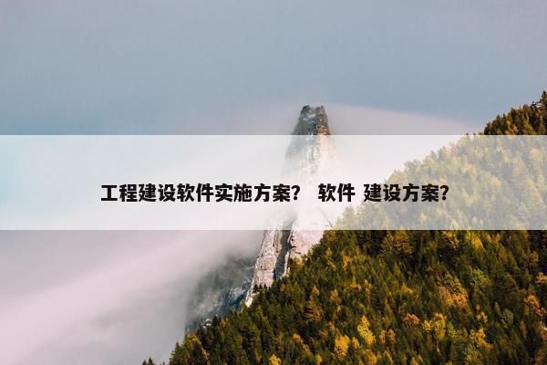 工程建设软件实施方案？ 软件 建设方案？