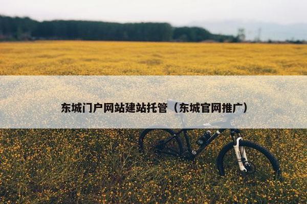 东城门户网站建站托管（东城官网推广）