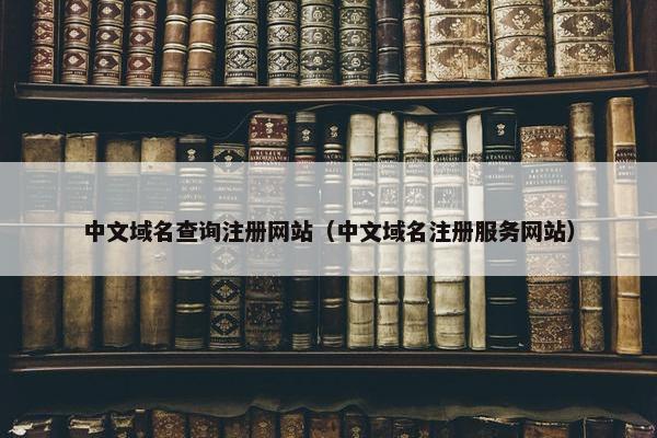 中文域名查询注册网站（中文域名注册服务网站）