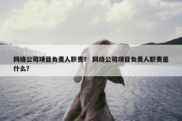 网络公司项目负责人职责？ 网络公司项目负责人职责是什么？
