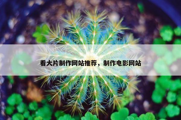 看大片制作网站推荐，制作电影网站