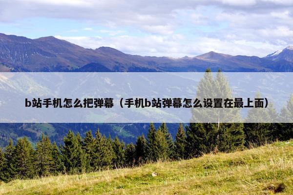 b站手机怎么把弹幕（手机b站弹幕怎么设置在最上面）