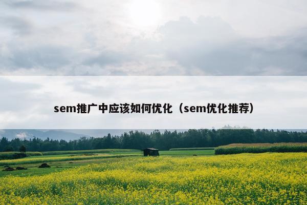sem推广中应该如何优化（sem优化推荐）