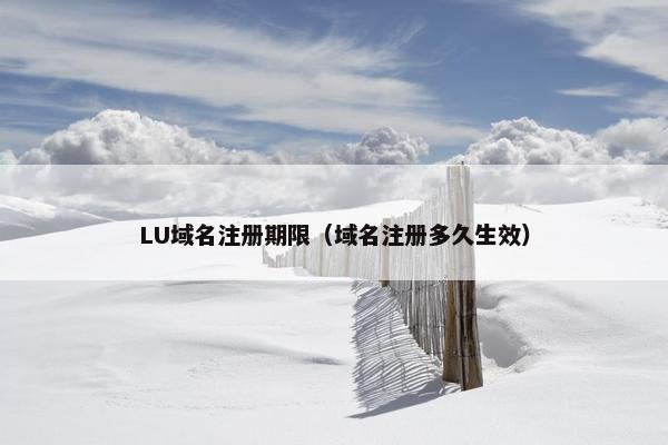 LU域名注册期限（域名注册多久生效）