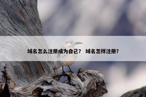 域名怎么注册成为自己？ 域名怎样注册？