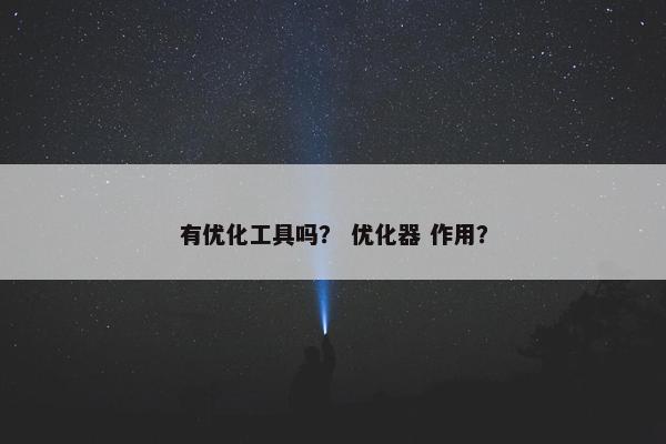 有优化工具吗？ 优化器 作用？