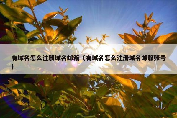 有域名怎么注册域名邮箱（有域名怎么注册域名邮箱账号）