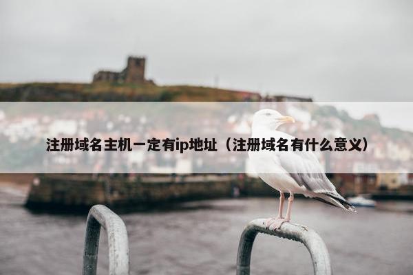 注册域名主机一定有ip地址（注册域名有什么意义）