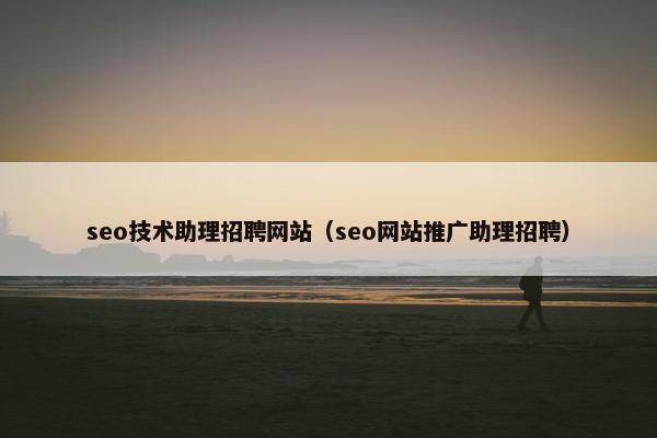 seo技术助理招聘网站（seo网站推广助理招聘）