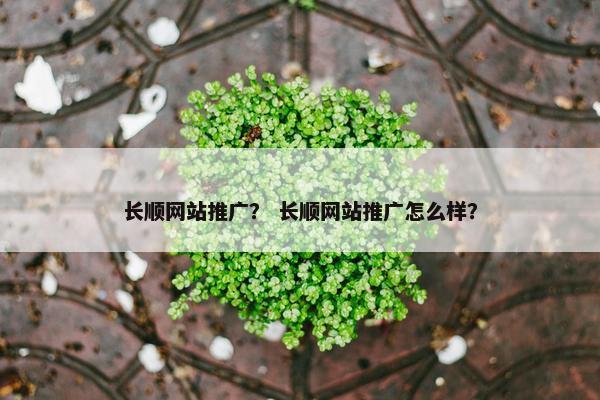 长顺网站推广？ 长顺网站推广怎么样？