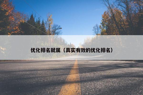 优化排名就属（真实有效的优化排名）