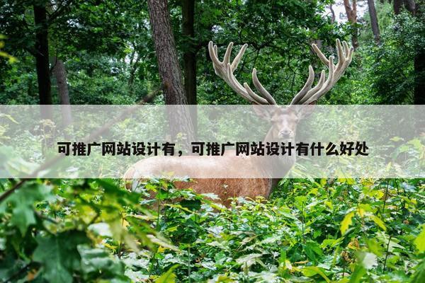 可推广网站设计有，可推广网站设计有什么好处