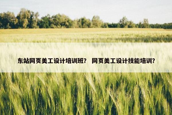 东站网页美工设计培训班？ 网页美工设计技能培训？