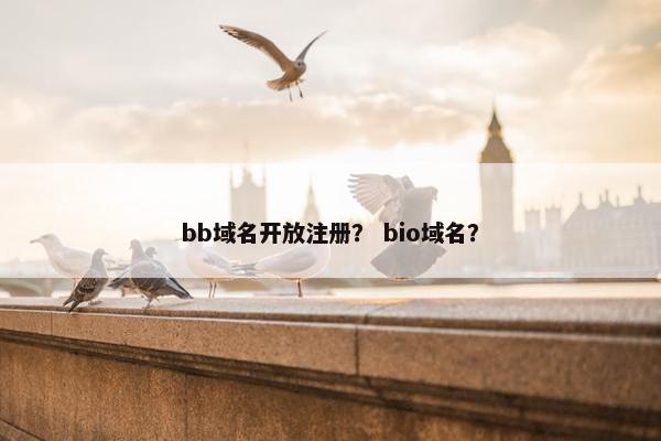 bb域名开放注册？ bio域名？