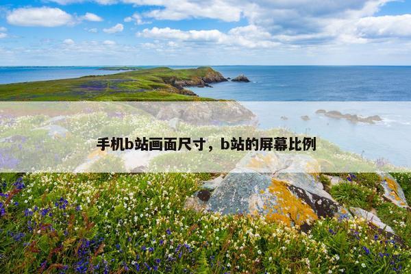 手机b站画面尺寸，b站的屏幕比例