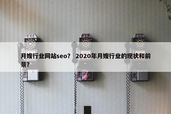 月嫂行业网站seo？ 2020年月嫂行业的现状和前景？