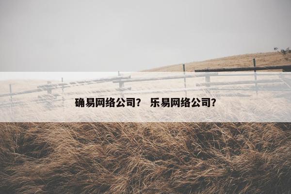 确易网络公司？ 乐易网络公司？