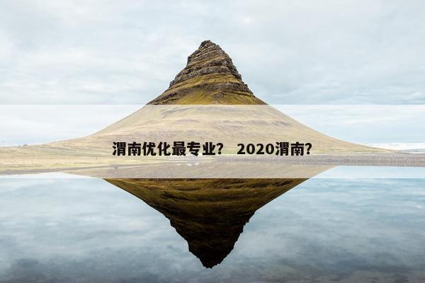 渭南优化最专业？ 2020渭南？