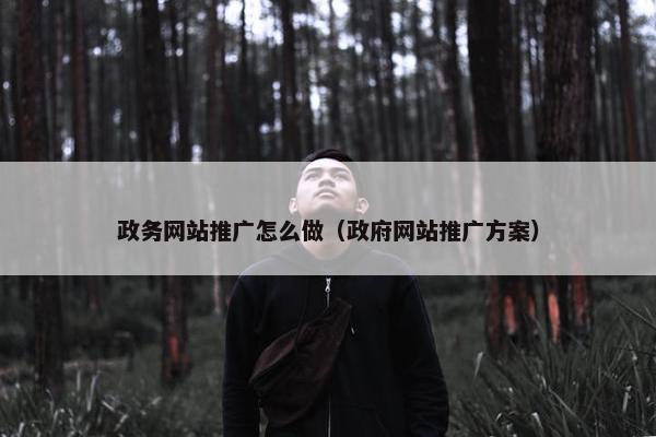 政务网站推广怎么做（政府网站推广方案）