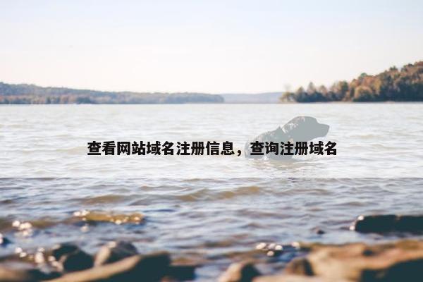 查看网站域名注册信息，查询注册域名
