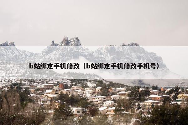 b站绑定手机修改（b站绑定手机修改手机号）