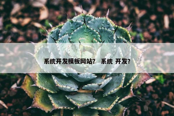 系统开发模板网站？ 系统 开发？