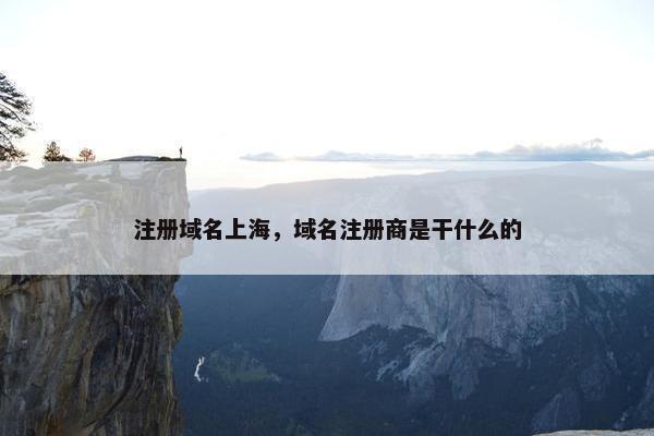注册域名上海，域名注册商是干什么的