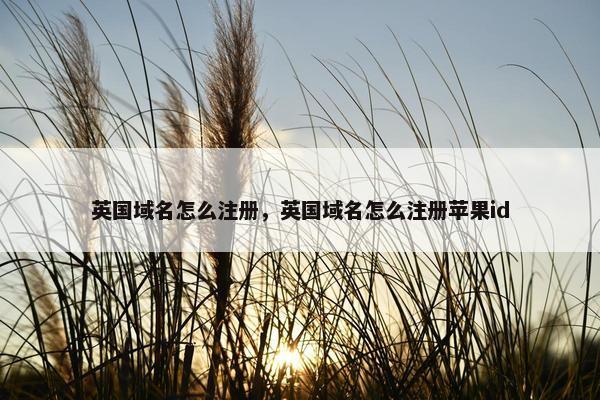 英国域名怎么注册，英国域名怎么注册苹果id