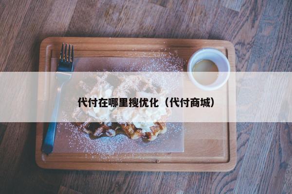 代付在哪里搜优化（代付商城）
