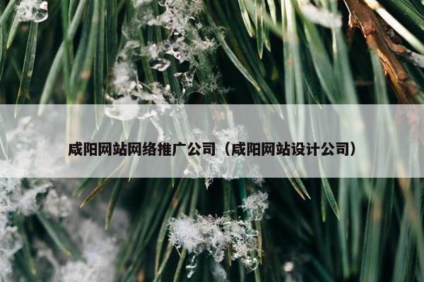 咸阳网站网络推广公司（咸阳网站设计公司）