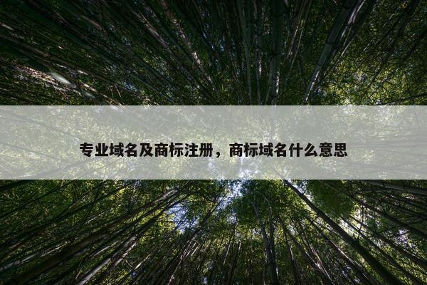 专业域名及商标注册，商标域名什么意思