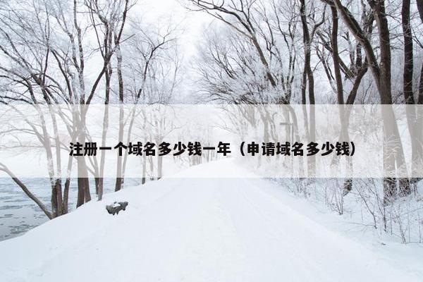 注册一个域名多少钱一年（申请域名多少钱）