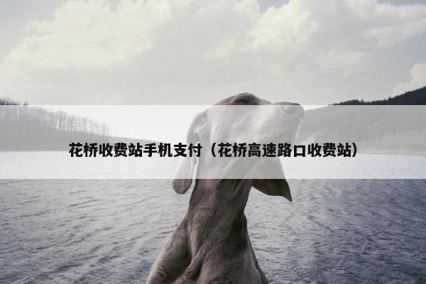 花桥收费站手机支付（花桥高速路口收费站）