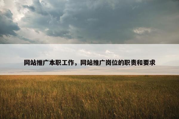 网站推广本职工作，网站推广岗位的职责和要求