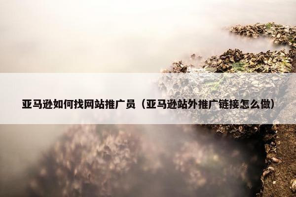 亚马逊如何找网站推广员（亚马逊站外推广链接怎么做）