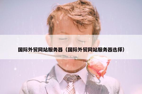 国际外贸网站服务器（国际外贸网站服务器选择）