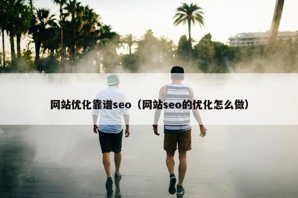 网站优化靠谱seo（网站seo的优化怎么做）